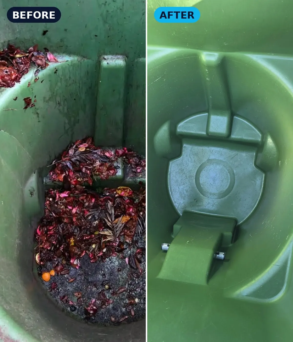 Green waste bin full of leaves before and after cleaning